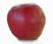 Sansa apple